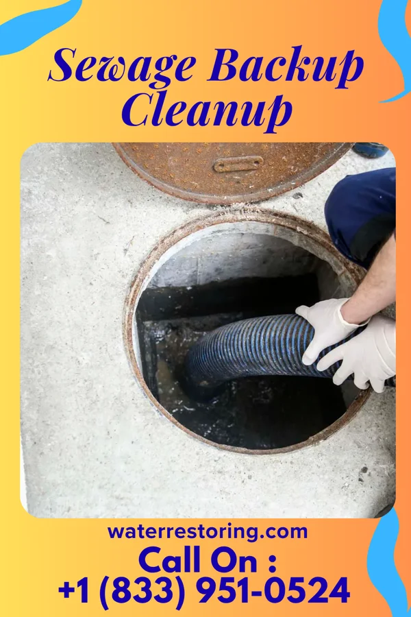 Sewage Backup Cleanup in Flagler Beach, FL